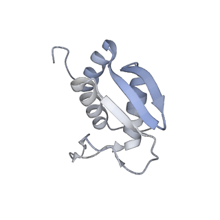 16235_8btr_SL_v1-2
Giardia Ribosome in PRE-T Hybrid State (D2)