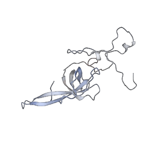 16235_8btr_SM_v1-2
Giardia Ribosome in PRE-T Hybrid State (D2)