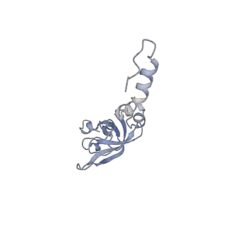 16235_8btr_SO_v1-2
Giardia Ribosome in PRE-T Hybrid State (D2)