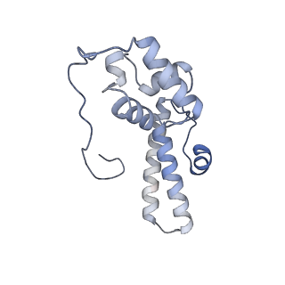 16235_8btr_SP_v1-2
Giardia Ribosome in PRE-T Hybrid State (D2)