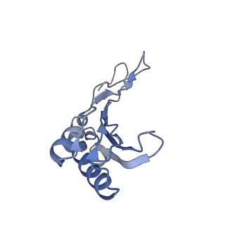 16235_8btr_SQ_v1-2
Giardia Ribosome in PRE-T Hybrid State (D2)