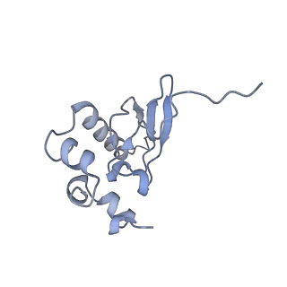 16235_8btr_SR_v1-2
Giardia Ribosome in PRE-T Hybrid State (D2)