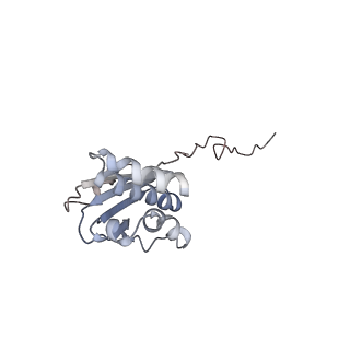 16235_8btr_ST_v1-2
Giardia Ribosome in PRE-T Hybrid State (D2)