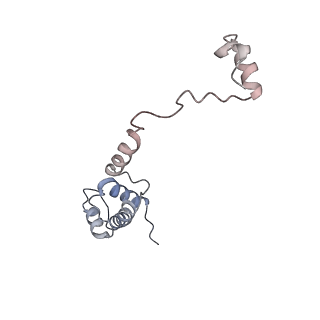 16235_8btr_SU_v1-2
Giardia Ribosome in PRE-T Hybrid State (D2)