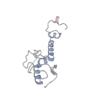 16235_8btr_SV_v1-2
Giardia Ribosome in PRE-T Hybrid State (D2)