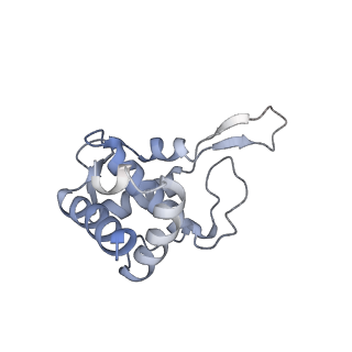 16235_8btr_SW_v1-2
Giardia Ribosome in PRE-T Hybrid State (D2)