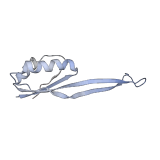 16235_8btr_SX_v1-2
Giardia Ribosome in PRE-T Hybrid State (D2)