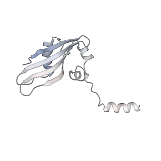 16235_8btr_Sb_v1-2
Giardia Ribosome in PRE-T Hybrid State (D2)