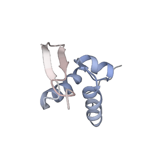 16235_8btr_Sc_v1-2
Giardia Ribosome in PRE-T Hybrid State (D2)