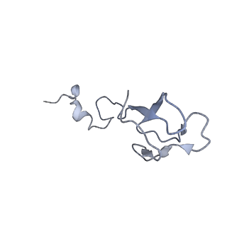 16235_8btr_Se_v1-2
Giardia Ribosome in PRE-T Hybrid State (D2)