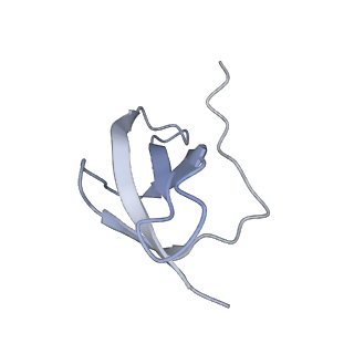 16235_8btr_Sg_v1-2
Giardia Ribosome in PRE-T Hybrid State (D2)