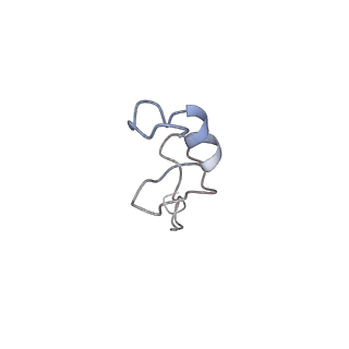 16235_8btr_Sh_v1-2
Giardia Ribosome in PRE-T Hybrid State (D2)