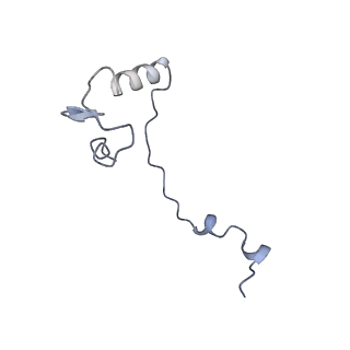16235_8btr_Sj_v1-2
Giardia Ribosome in PRE-T Hybrid State (D2)
