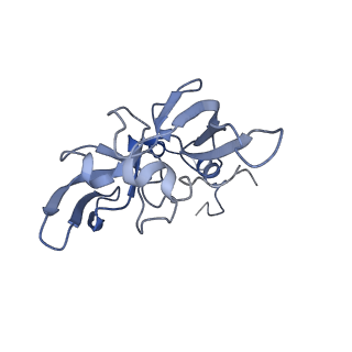 30170_7bt6_A_v1-0
Cryo-EM structure of pre-60S ribosome from Saccharomyces cerevisiae rpl4delta63-87 strain at 3.12 Angstroms resolution(state R1)