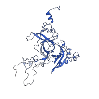 30170_7bt6_B_v1-0
Cryo-EM structure of pre-60S ribosome from Saccharomyces cerevisiae rpl4delta63-87 strain at 3.12 Angstroms resolution(state R1)