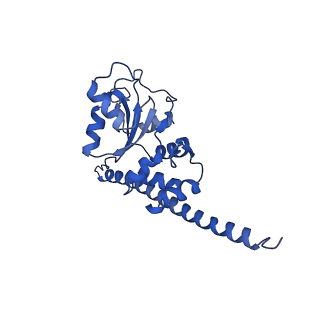 30170_7bt6_F_v1-0
Cryo-EM structure of pre-60S ribosome from Saccharomyces cerevisiae rpl4delta63-87 strain at 3.12 Angstroms resolution(state R1)