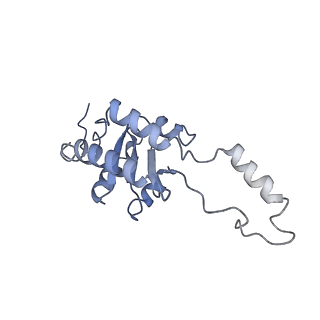 30170_7bt6_G_v1-0
Cryo-EM structure of pre-60S ribosome from Saccharomyces cerevisiae rpl4delta63-87 strain at 3.12 Angstroms resolution(state R1)