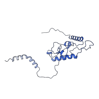 30170_7bt6_L_v1-0
Cryo-EM structure of pre-60S ribosome from Saccharomyces cerevisiae rpl4delta63-87 strain at 3.12 Angstroms resolution(state R1)