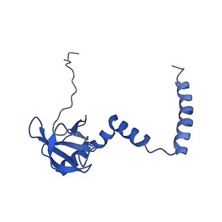 30170_7bt6_M_v1-0
Cryo-EM structure of pre-60S ribosome from Saccharomyces cerevisiae rpl4delta63-87 strain at 3.12 Angstroms resolution(state R1)