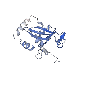 30170_7bt6_N_v1-0
Cryo-EM structure of pre-60S ribosome from Saccharomyces cerevisiae rpl4delta63-87 strain at 3.12 Angstroms resolution(state R1)