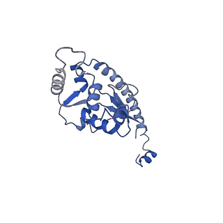 30170_7bt6_O_v1-0
Cryo-EM structure of pre-60S ribosome from Saccharomyces cerevisiae rpl4delta63-87 strain at 3.12 Angstroms resolution(state R1)