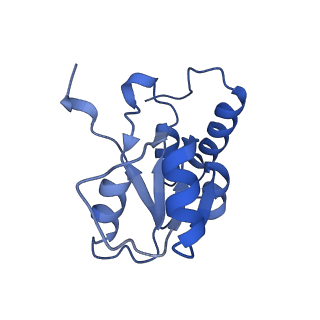 30170_7bt6_Q_v1-0
Cryo-EM structure of pre-60S ribosome from Saccharomyces cerevisiae rpl4delta63-87 strain at 3.12 Angstroms resolution(state R1)