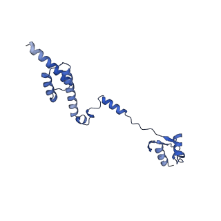 30170_7bt6_R_v1-0
Cryo-EM structure of pre-60S ribosome from Saccharomyces cerevisiae rpl4delta63-87 strain at 3.12 Angstroms resolution(state R1)