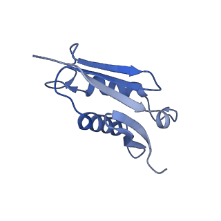 30170_7bt6_U_v1-0
Cryo-EM structure of pre-60S ribosome from Saccharomyces cerevisiae rpl4delta63-87 strain at 3.12 Angstroms resolution(state R1)