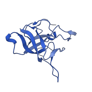 30170_7bt6_V_v1-0
Cryo-EM structure of pre-60S ribosome from Saccharomyces cerevisiae rpl4delta63-87 strain at 3.12 Angstroms resolution(state R1)
