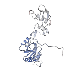 30170_7bt6_W_v1-0
Cryo-EM structure of pre-60S ribosome from Saccharomyces cerevisiae rpl4delta63-87 strain at 3.12 Angstroms resolution(state R1)