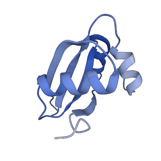 30170_7bt6_X_v1-0
Cryo-EM structure of pre-60S ribosome from Saccharomyces cerevisiae rpl4delta63-87 strain at 3.12 Angstroms resolution(state R1)