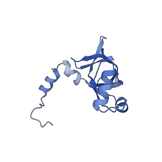 30170_7bt6_Y_v1-0
Cryo-EM structure of pre-60S ribosome from Saccharomyces cerevisiae rpl4delta63-87 strain at 3.12 Angstroms resolution(state R1)
