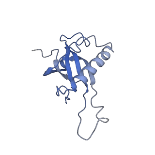 30170_7bt6_Z_v1-0
Cryo-EM structure of pre-60S ribosome from Saccharomyces cerevisiae rpl4delta63-87 strain at 3.12 Angstroms resolution(state R1)