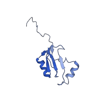 30170_7bt6_a_v1-0
Cryo-EM structure of pre-60S ribosome from Saccharomyces cerevisiae rpl4delta63-87 strain at 3.12 Angstroms resolution(state R1)