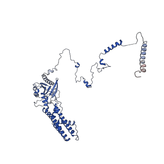 30170_7bt6_b_v1-0
Cryo-EM structure of pre-60S ribosome from Saccharomyces cerevisiae rpl4delta63-87 strain at 3.12 Angstroms resolution(state R1)
