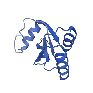 30170_7bt6_c_v1-0
Cryo-EM structure of pre-60S ribosome from Saccharomyces cerevisiae rpl4delta63-87 strain at 3.12 Angstroms resolution(state R1)