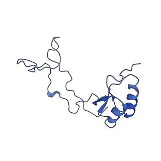 30170_7bt6_e_v1-0
Cryo-EM structure of pre-60S ribosome from Saccharomyces cerevisiae rpl4delta63-87 strain at 3.12 Angstroms resolution(state R1)
