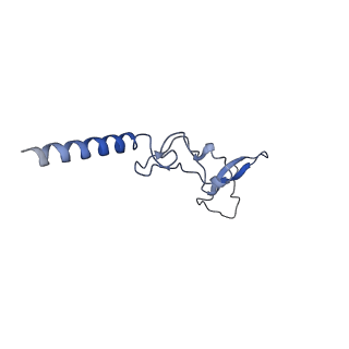 30170_7bt6_g_v1-0
Cryo-EM structure of pre-60S ribosome from Saccharomyces cerevisiae rpl4delta63-87 strain at 3.12 Angstroms resolution(state R1)