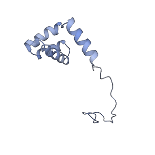 30170_7bt6_i_v1-0
Cryo-EM structure of pre-60S ribosome from Saccharomyces cerevisiae rpl4delta63-87 strain at 3.12 Angstroms resolution(state R1)