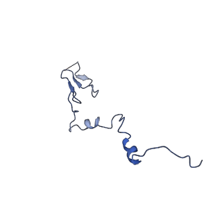 30170_7bt6_j_v1-0
Cryo-EM structure of pre-60S ribosome from Saccharomyces cerevisiae rpl4delta63-87 strain at 3.12 Angstroms resolution(state R1)
