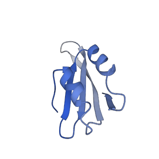 30170_7bt6_k_v1-0
Cryo-EM structure of pre-60S ribosome from Saccharomyces cerevisiae rpl4delta63-87 strain at 3.12 Angstroms resolution(state R1)