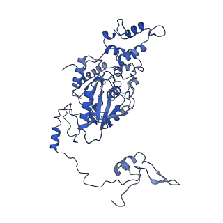 30170_7bt6_m_v1-0
Cryo-EM structure of pre-60S ribosome from Saccharomyces cerevisiae rpl4delta63-87 strain at 3.12 Angstroms resolution(state R1)