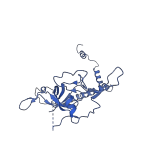 30170_7bt6_r_v1-0
Cryo-EM structure of pre-60S ribosome from Saccharomyces cerevisiae rpl4delta63-87 strain at 3.12 Angstroms resolution(state R1)