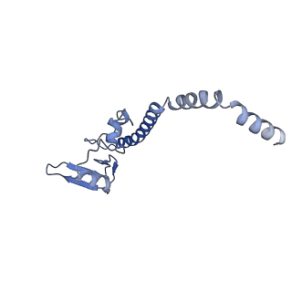 30170_7bt6_u_v1-0
Cryo-EM structure of pre-60S ribosome from Saccharomyces cerevisiae rpl4delta63-87 strain at 3.12 Angstroms resolution(state R1)