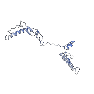 30170_7bt6_w_v1-0
Cryo-EM structure of pre-60S ribosome from Saccharomyces cerevisiae rpl4delta63-87 strain at 3.12 Angstroms resolution(state R1)