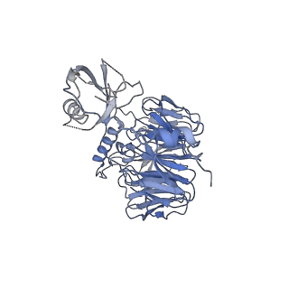 30170_7bt6_x_v1-0
Cryo-EM structure of pre-60S ribosome from Saccharomyces cerevisiae rpl4delta63-87 strain at 3.12 Angstroms resolution(state R1)