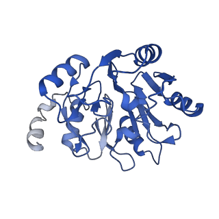 30170_7bt6_y_v1-0
Cryo-EM structure of pre-60S ribosome from Saccharomyces cerevisiae rpl4delta63-87 strain at 3.12 Angstroms resolution(state R1)