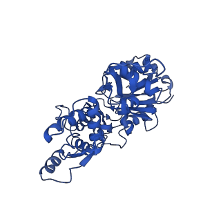 30171_7bt7_A_v1-2
F-actin-ADP complex structure