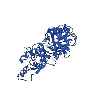 30171_7bt7_A_v1-3
F-actin-ADP complex structure