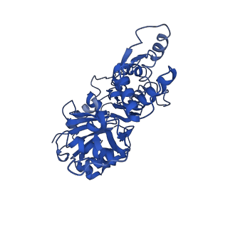 30171_7bt7_B_v1-2
F-actin-ADP complex structure